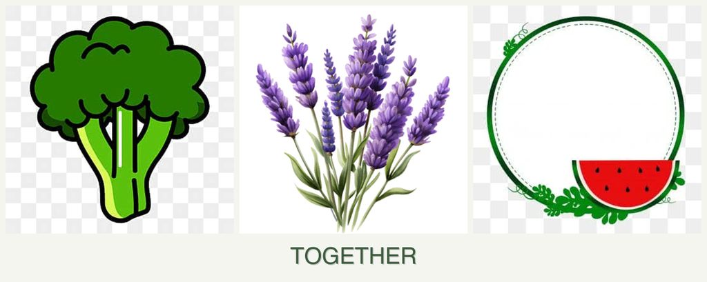 Can you plant broccoli, lavender and watermelons together?