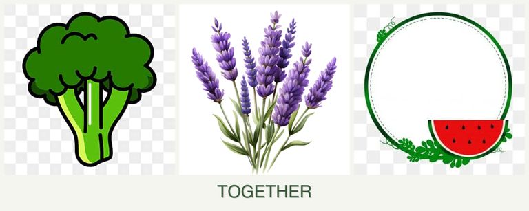 Can you plant broccoli, lavender and watermelons together?