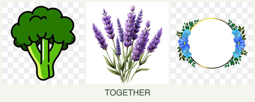 Can you plant broccoli, lavender and zinnias together?