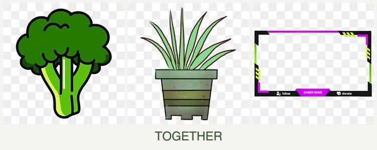 Can you plant broccoli, lemongrass and limes together?