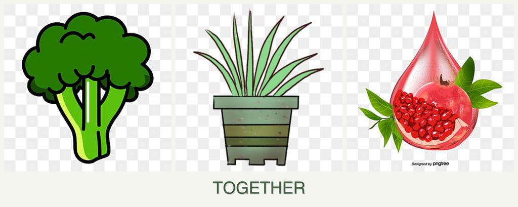 Can you plant broccoli, lemongrass and pomegranates together?