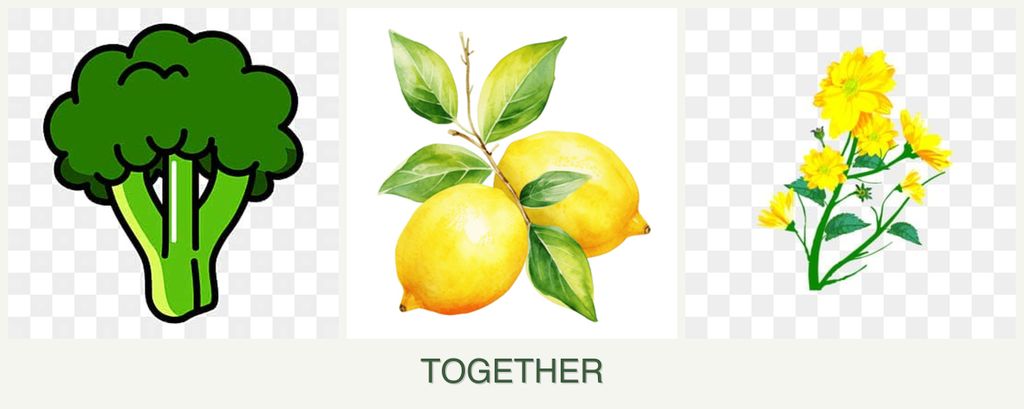 Can you plant broccoli, lemons and calendula together?