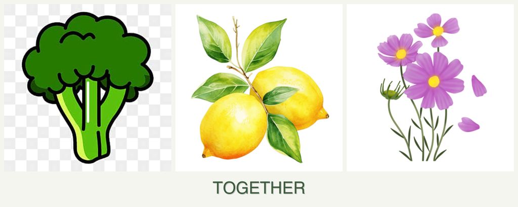 Can you plant broccoli, lemons and cosmos together?