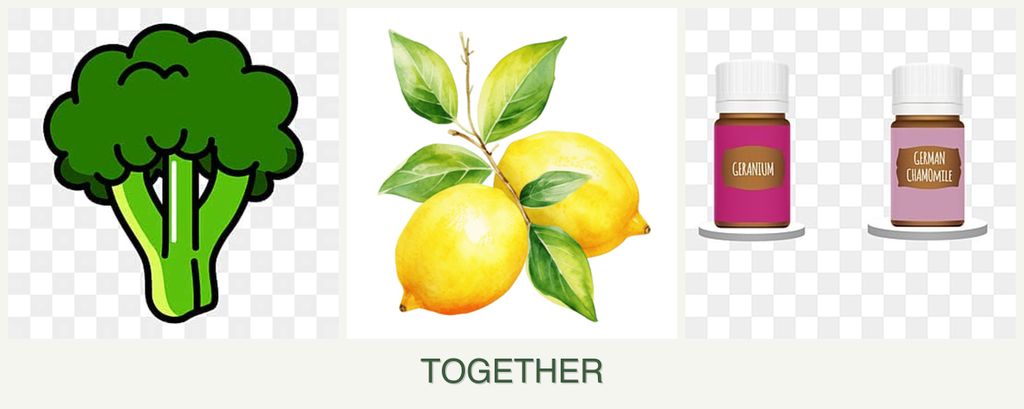 Can you plant broccoli, lemons and geraniums together?