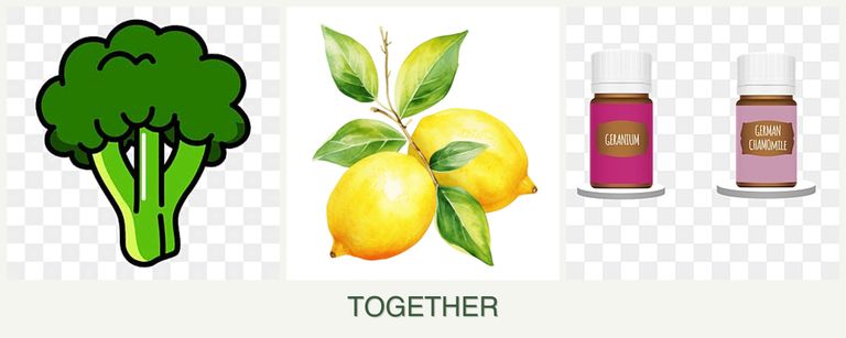 Can you plant broccoli, lemons and geraniums together?