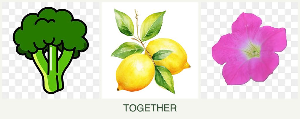 Can you plant broccoli, lemons and petunias together?