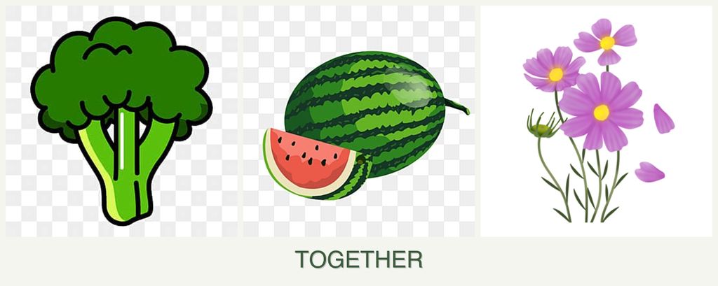 Can you plant broccoli, melons and cosmos together?