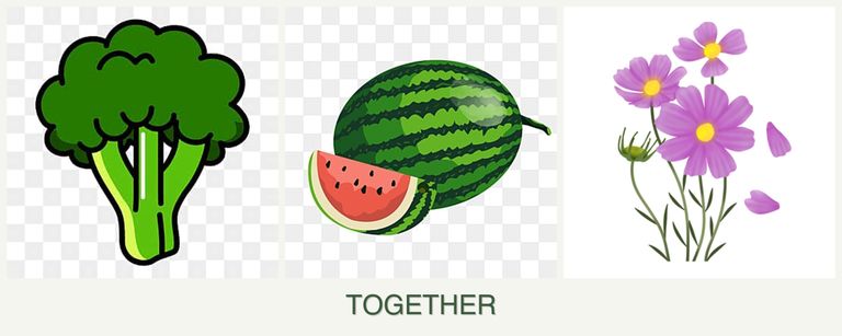 Can you plant broccoli, melons and cosmos together?