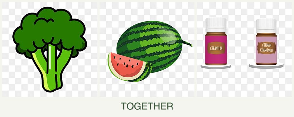 Can you plant broccoli, melons and geraniums together?