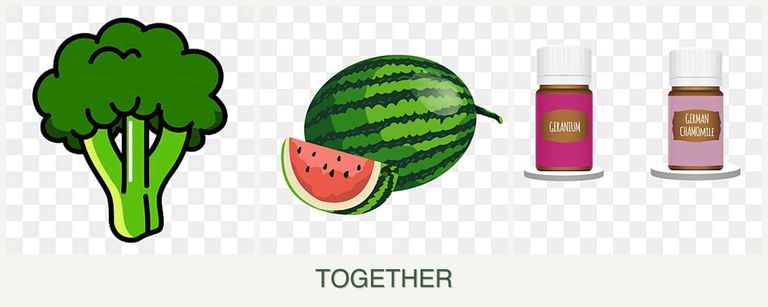 Can you plant broccoli, melons and geraniums together?