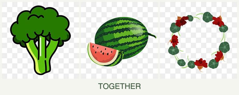 Can you plant broccoli, melons and nasturtiums together?
