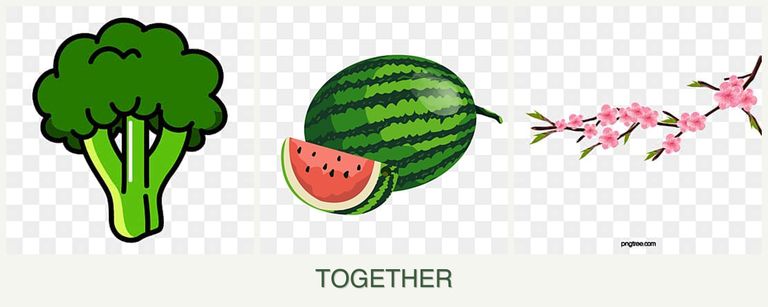 Can you plant broccoli, melons and peaches together?