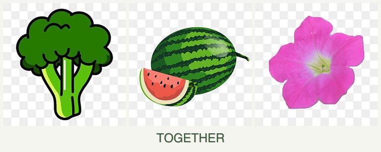 Can you plant broccoli, melons and petunias together?