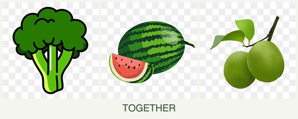 Can you plant broccoli, melons and plums together?