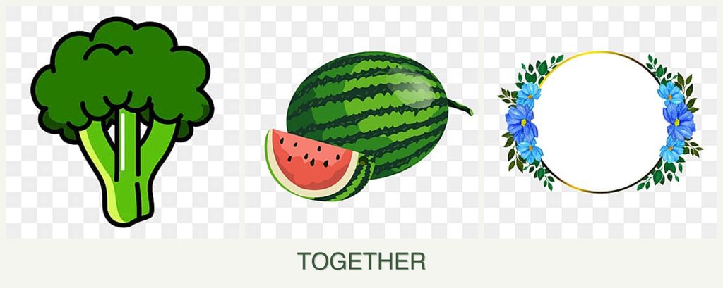 Can you plant broccoli, melons and zinnias together?