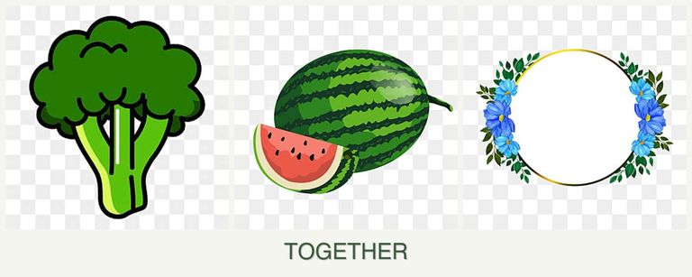 Can you plant broccoli, melons and zinnias together?