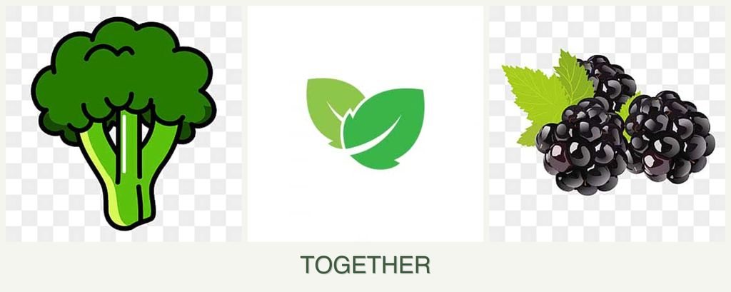 Can you plant broccoli, mint and blackberries together?