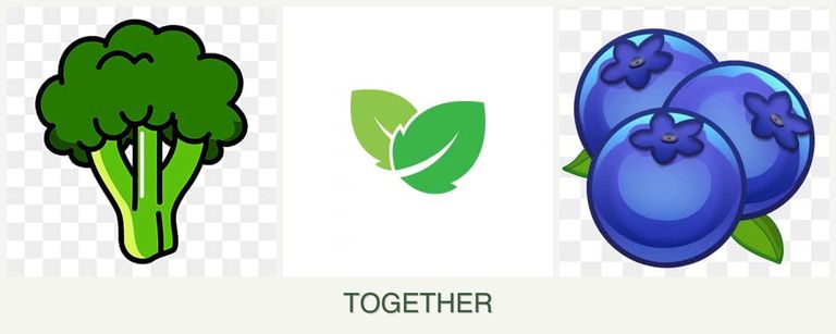 Can you plant broccoli, mint and blueberries together?