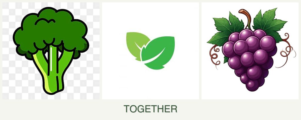 Can you plant broccoli, mint and grapes together?