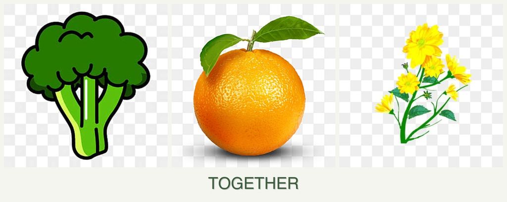 Can you plant broccoli, oranges and calendula together?