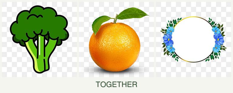 Can you plant broccoli, oranges and zinnias together?