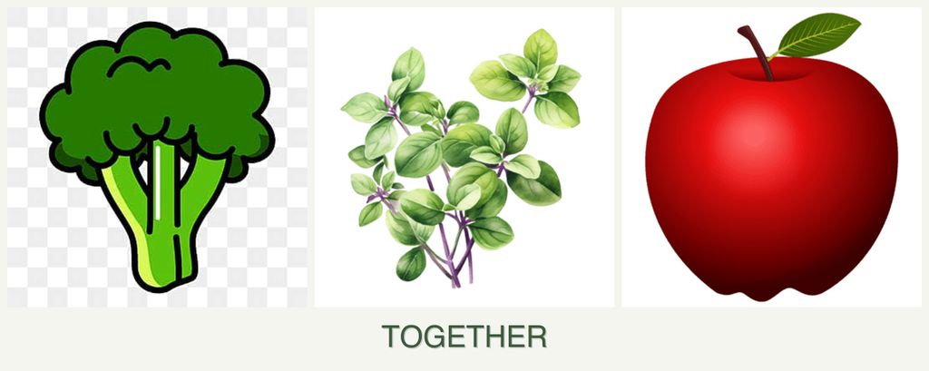 Can you plant broccoli, oregano and apples together?