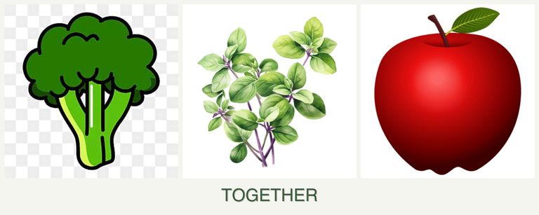 Can you plant broccoli, oregano and apples together?