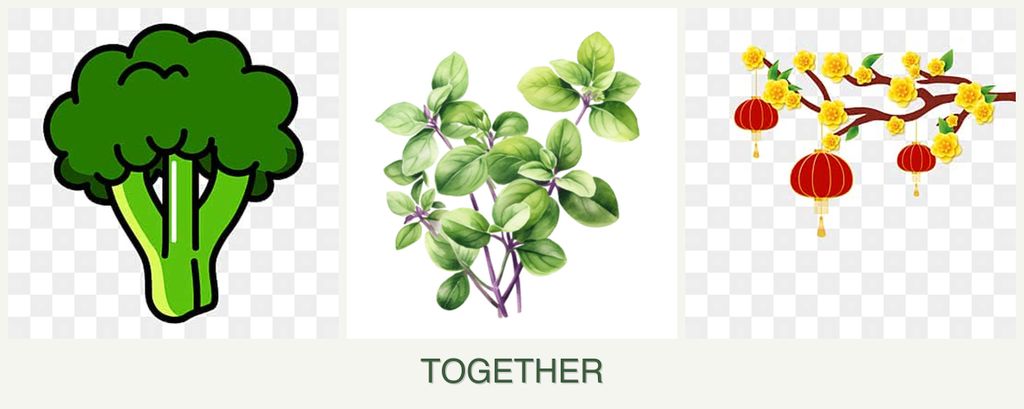 Can you plant broccoli, oregano and apricots together?