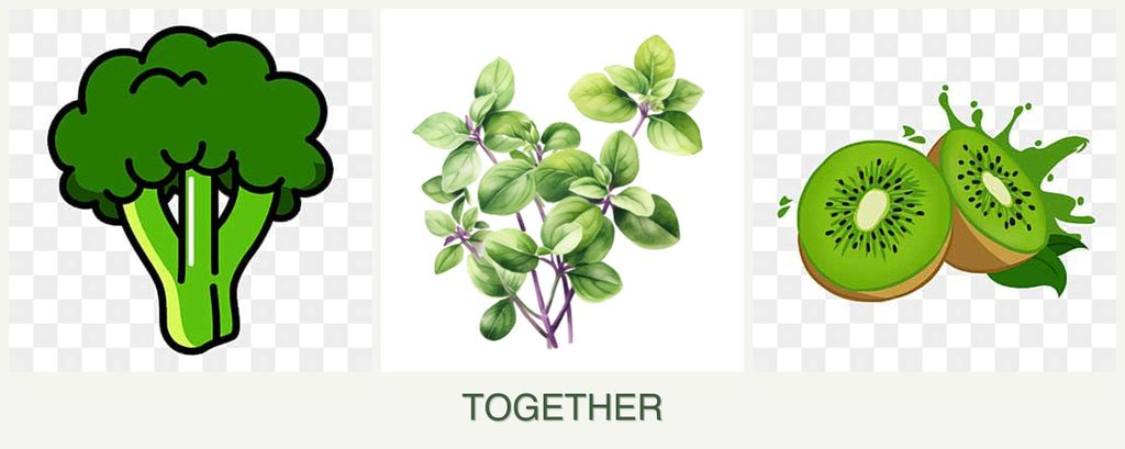 Can you plant broccoli, oregano and kiwi together?