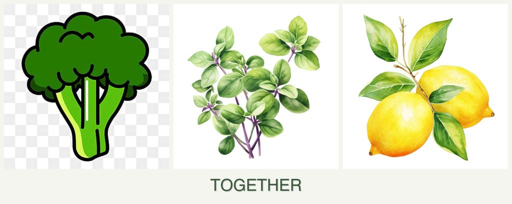 Can you plant broccoli, oregano and lemons together?