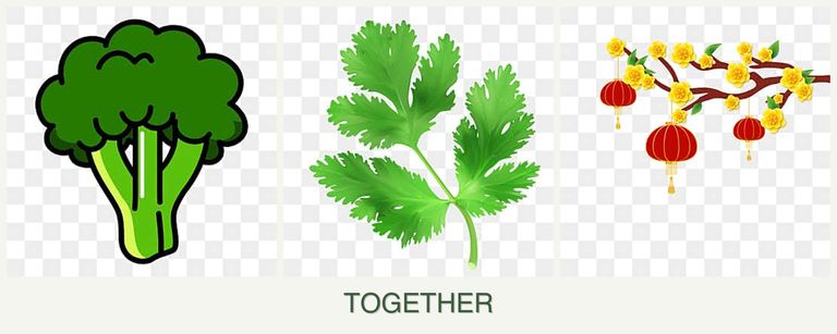 Can you plant broccoli, parsley and apricots together?