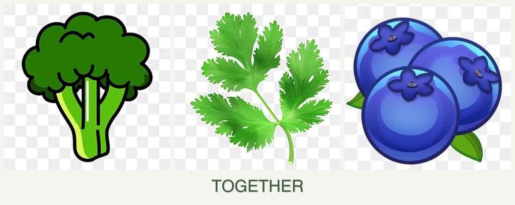 Can you plant broccoli, parsley and blueberries together?