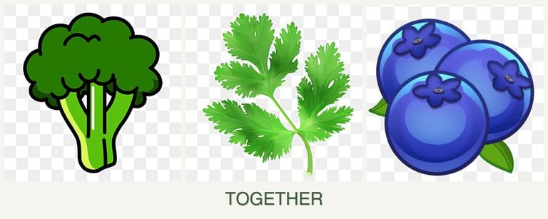 Can you plant broccoli, parsley and blueberries together?