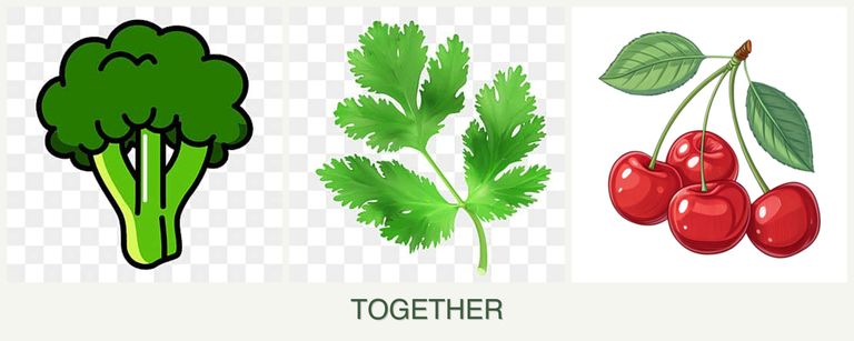 Can you plant broccoli, parsley and cherries together?