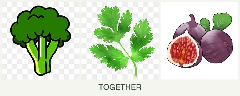 Can you plant broccoli, parsley and figs together?