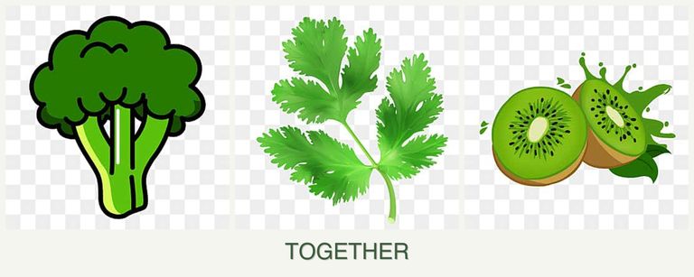 Can you plant broccoli, parsley and kiwi together?