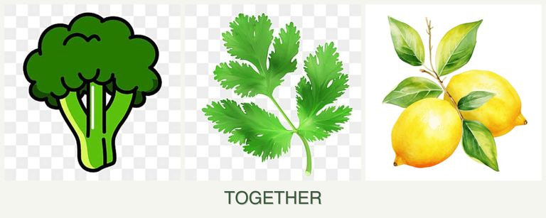 Can you plant broccoli, parsley and lemons together?