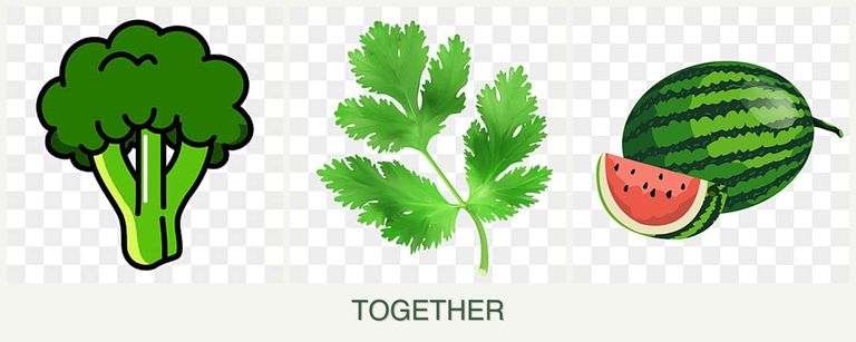 Can you plant broccoli, parsley and melons together?
