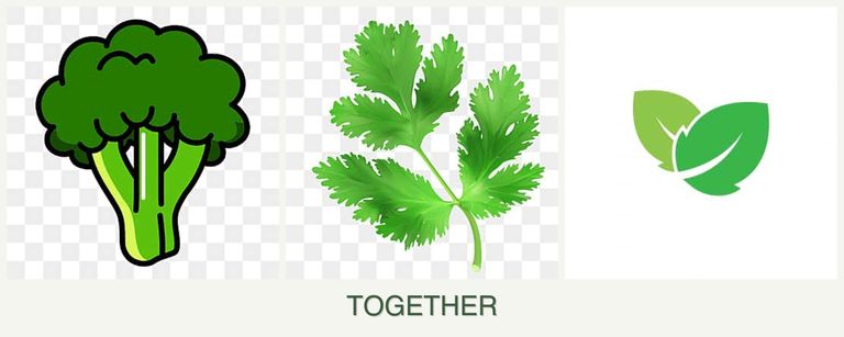 Can you plant broccoli, parsley and mint together?