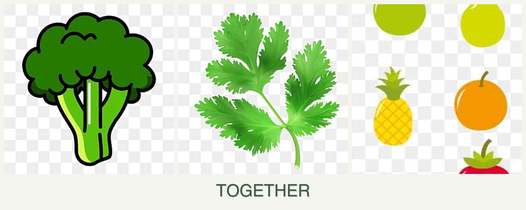 Can you plant broccoli, parsley and pears together?