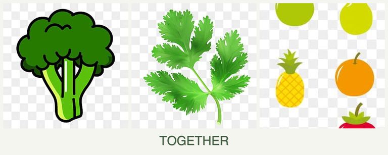 Can you plant broccoli, parsley and pears together?