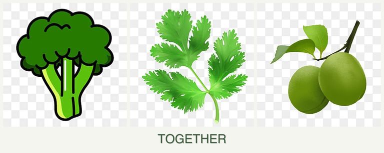 Can you plant broccoli, parsley and plums together?