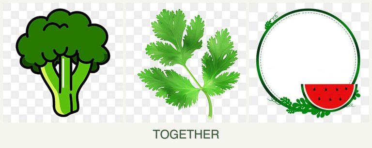 Can you plant broccoli, parsley and watermelons together?