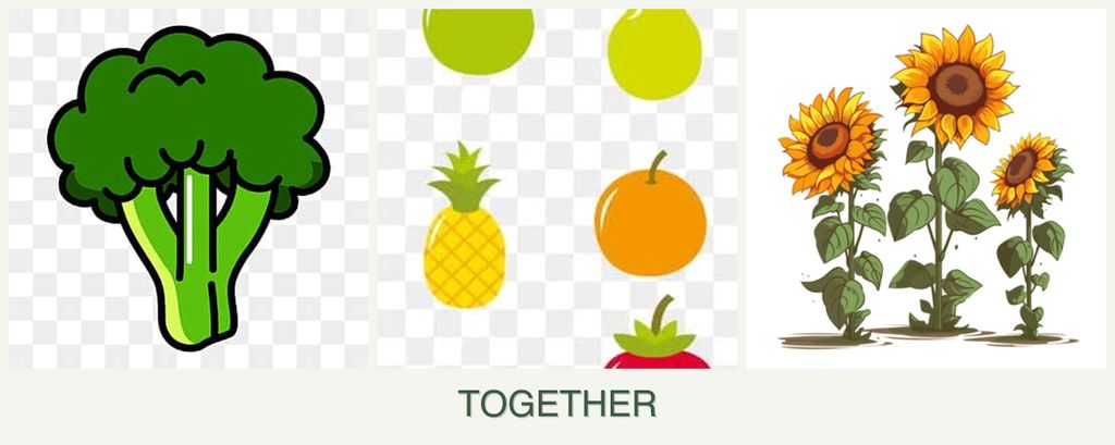 Can you plant broccoli, pears and sunflowers together?