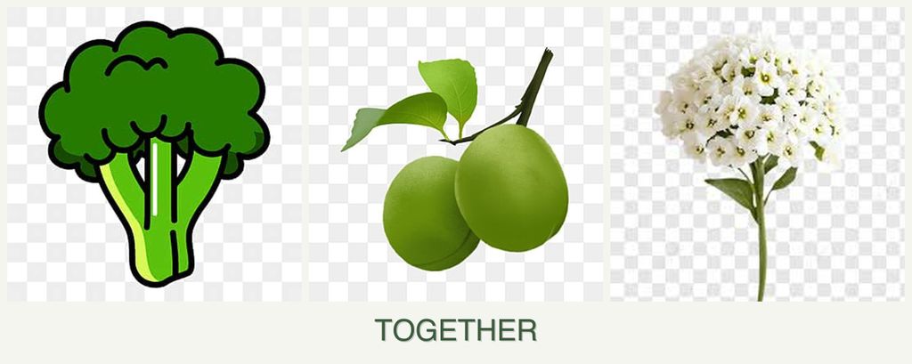 Can you plant broccoli, plums and alyssum together?