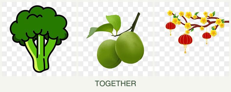 Can you plant broccoli, plums and apricots together?
