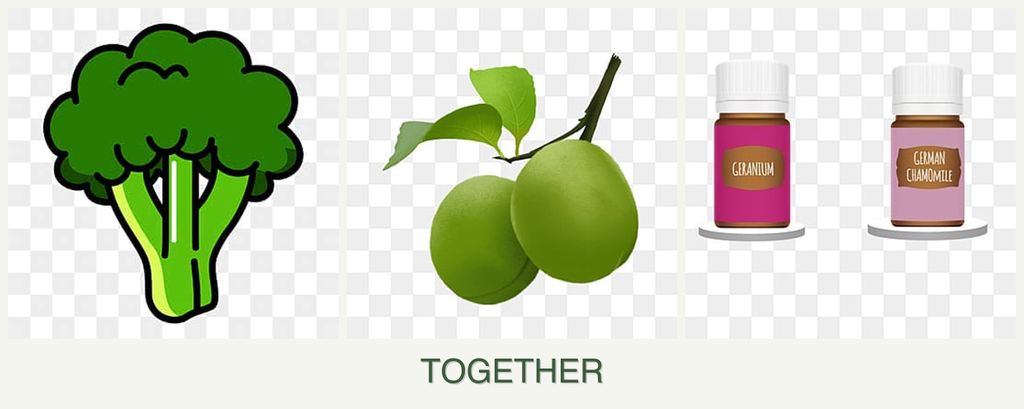 Can you plant broccoli, plums and geraniums together?