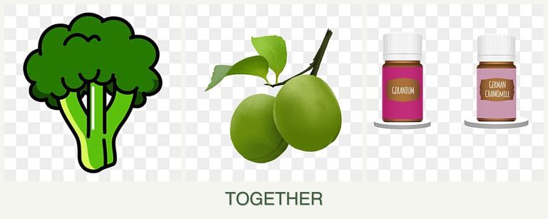 Can you plant broccoli, plums and geraniums together?