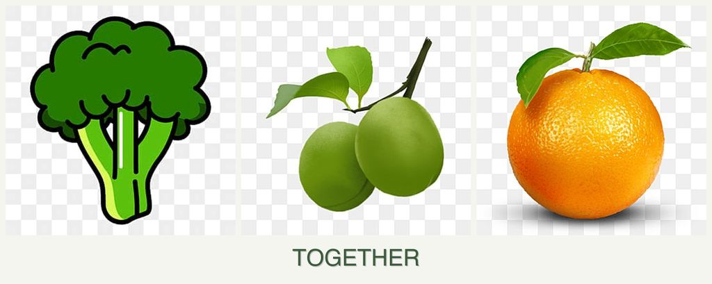 Can you plant broccoli, plums and oranges together?