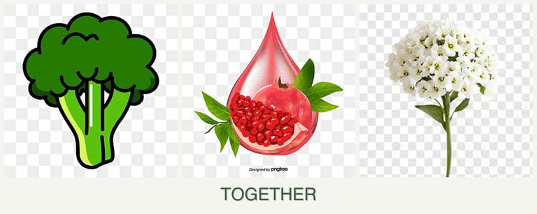 Can you plant broccoli, pomegranates and alyssum together?